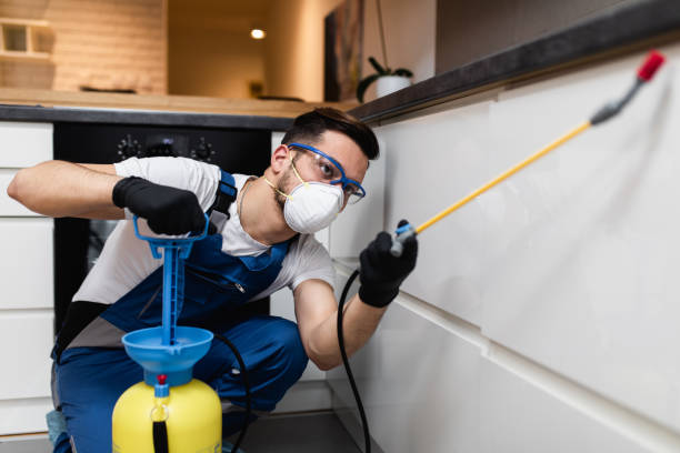 Best Pest Inspection Near Me  in Rockwell, NC