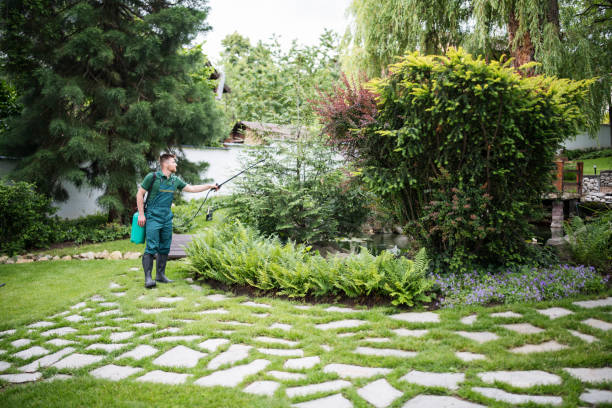 Best Commercial Pest Control Services  in Rockwell, NC