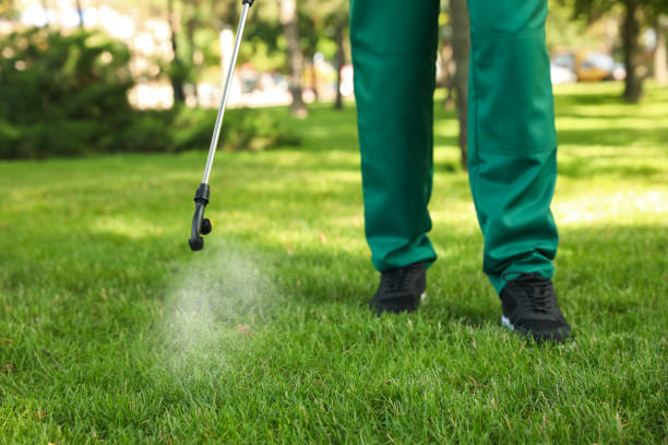 Best Mosquito Control Services  in Rockwell, NC