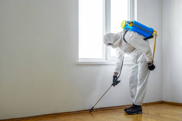 Best Affordable Pest Control Services  in Rockwell, NC