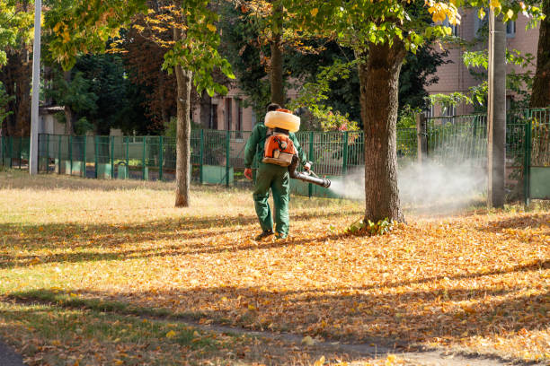 Rockwell, NC Pest Control Company