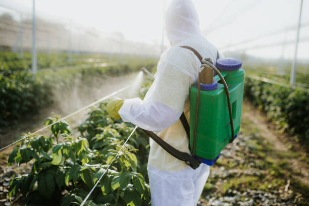 Best Best Pest Control Companies  in Rockwell, NC